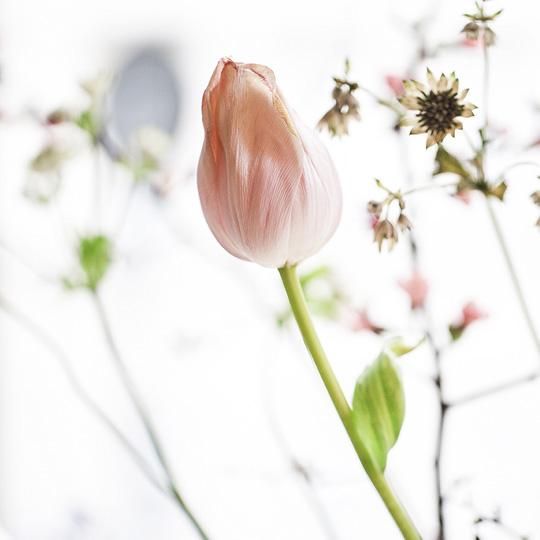 KOMBRINK – Café und Mittagstisch